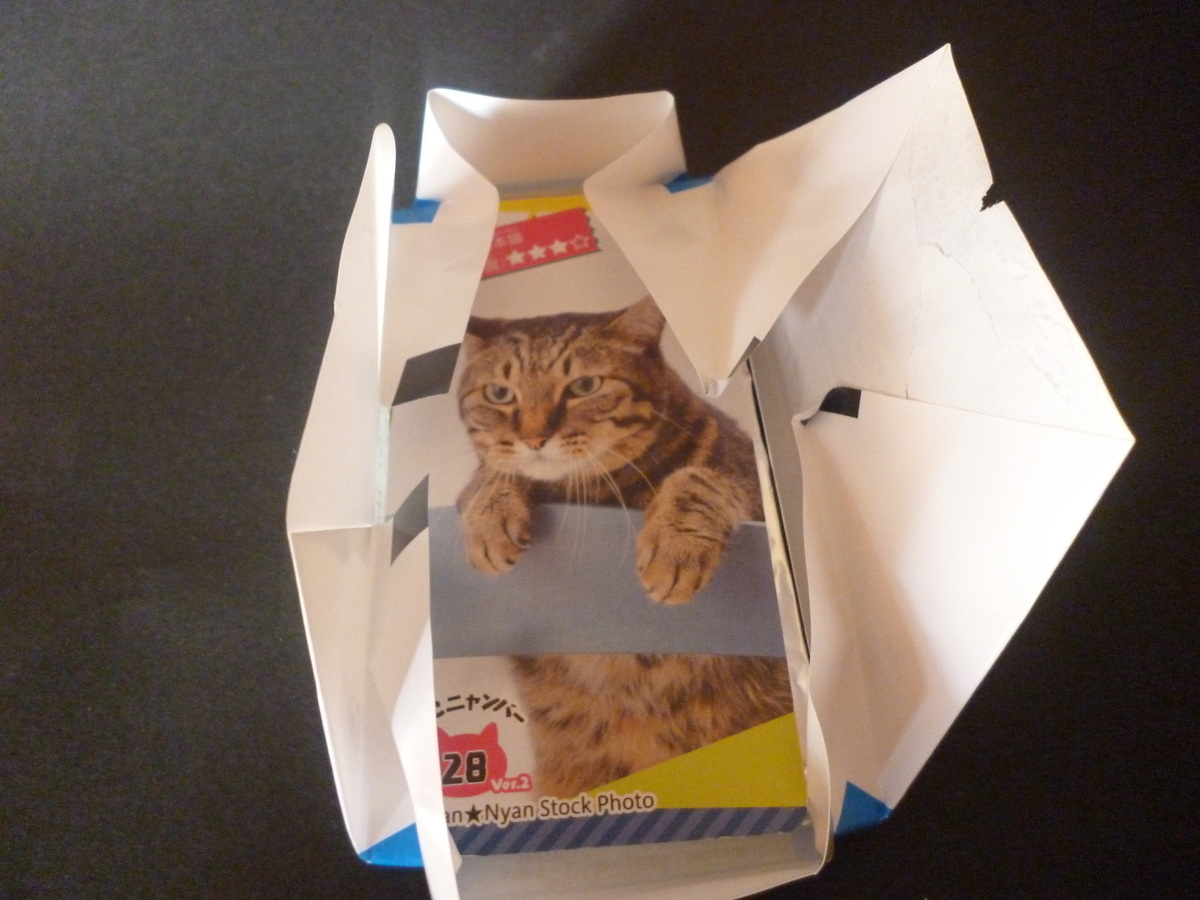 f:id:hamasansu:20190529064945j:plain f:id:hamasansu:20190529064945j:plain