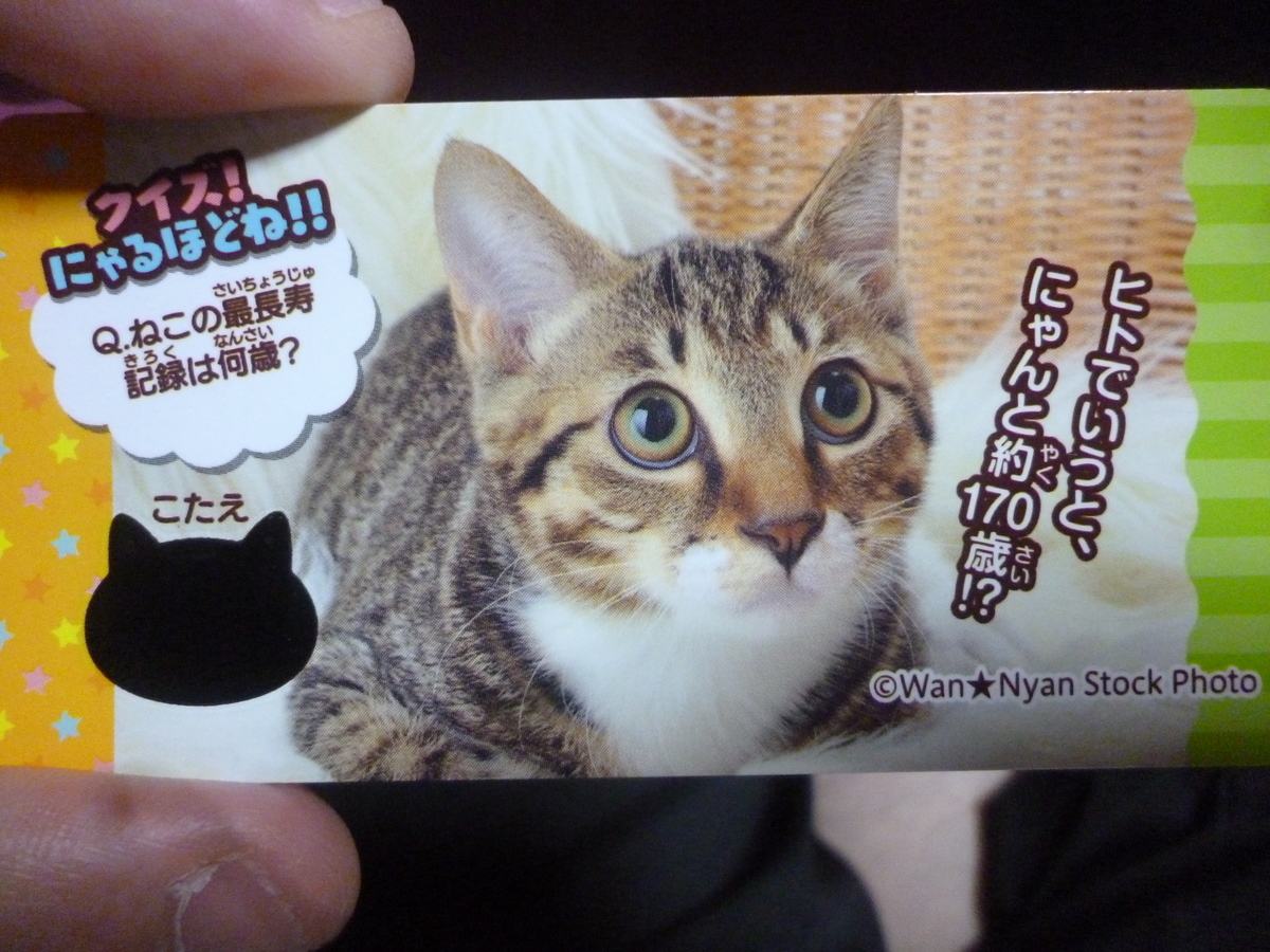 f:id:hamasansu:20190529065032j:plain f:id:hamasansu:20190529065032j:plain