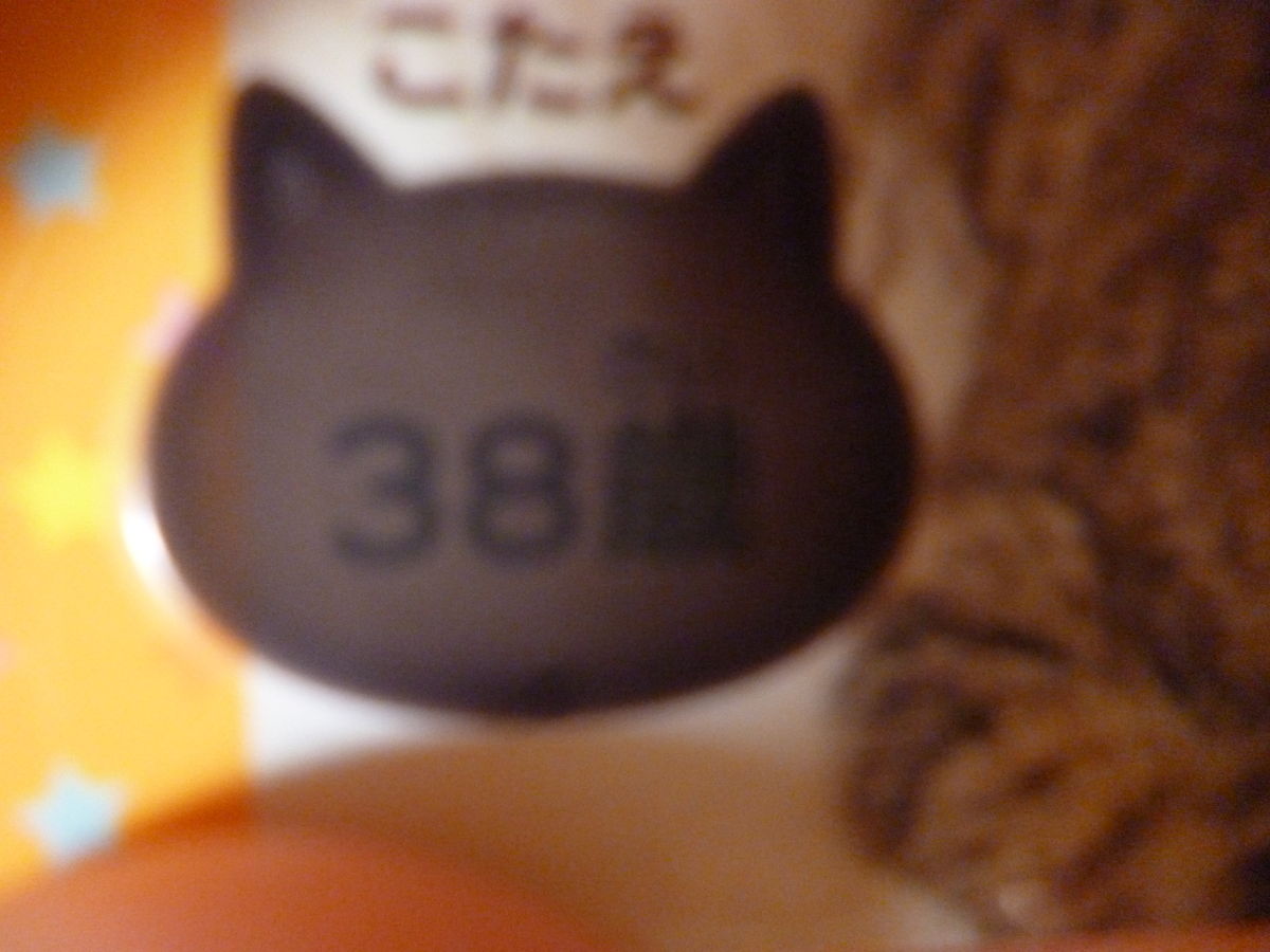 f:id:hamasansu:20190529065208j:plain f:id:hamasansu:20190529065208j:plain