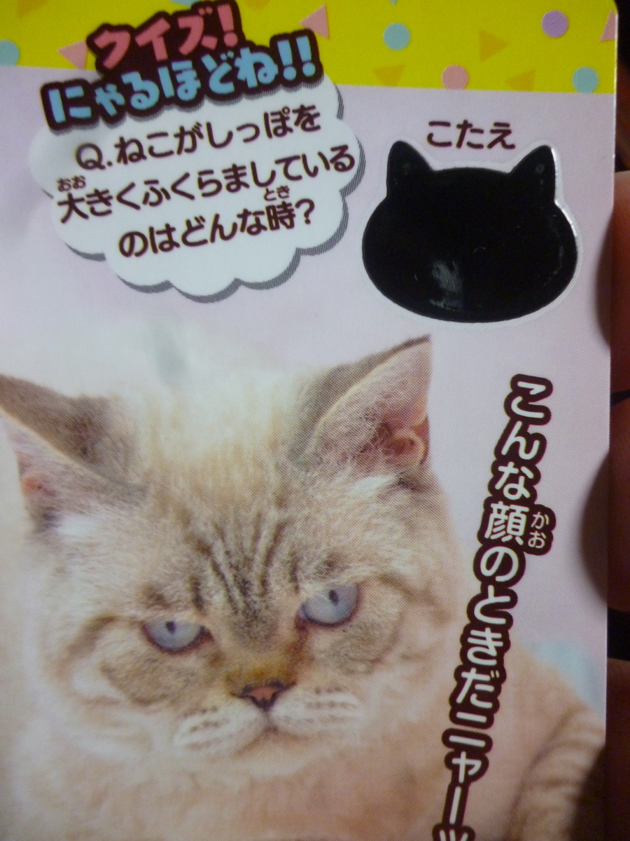 f:id:hamasansu:20190529065321j:plain f:id:hamasansu:20190529065321j:plain