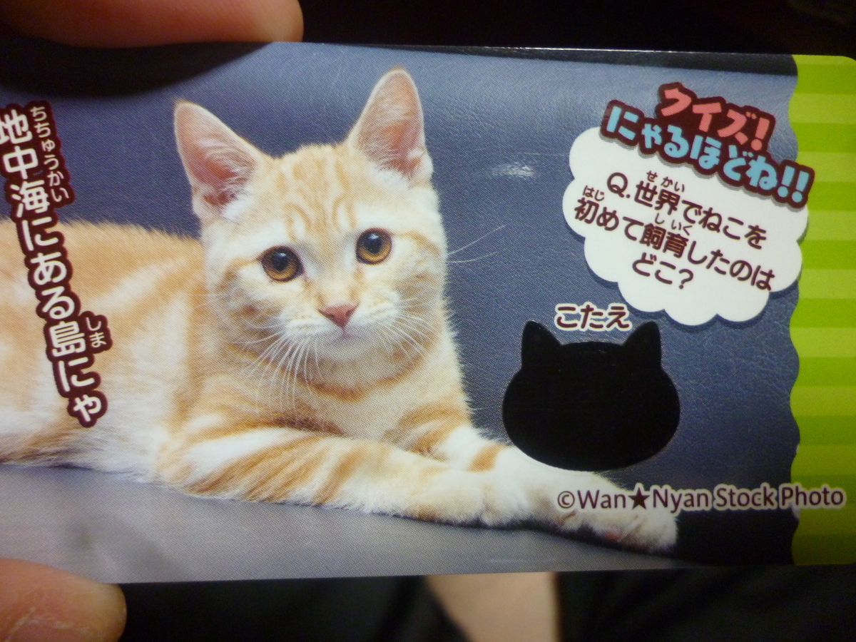 f:id:hamasansu:20190529065539j:plain f:id:hamasansu:20190529065539j:plain