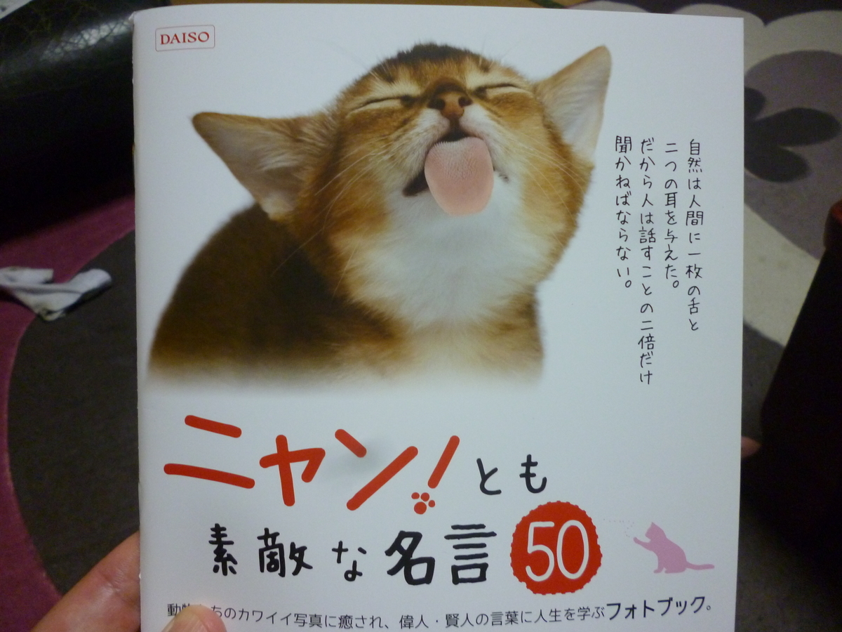 ダイソーに売ってある名言の本を買って見た 100円とは思えない完成度なのでびっくりしたのだ ハマサンス コンプリートライフ