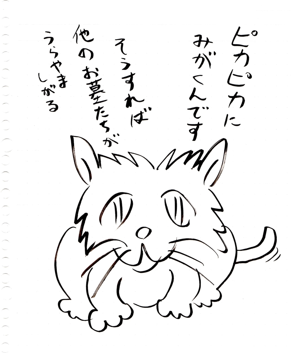 f:id:hamasansu:20190812014440j:plain f:id:hamasansu:20190812014440j:plain
