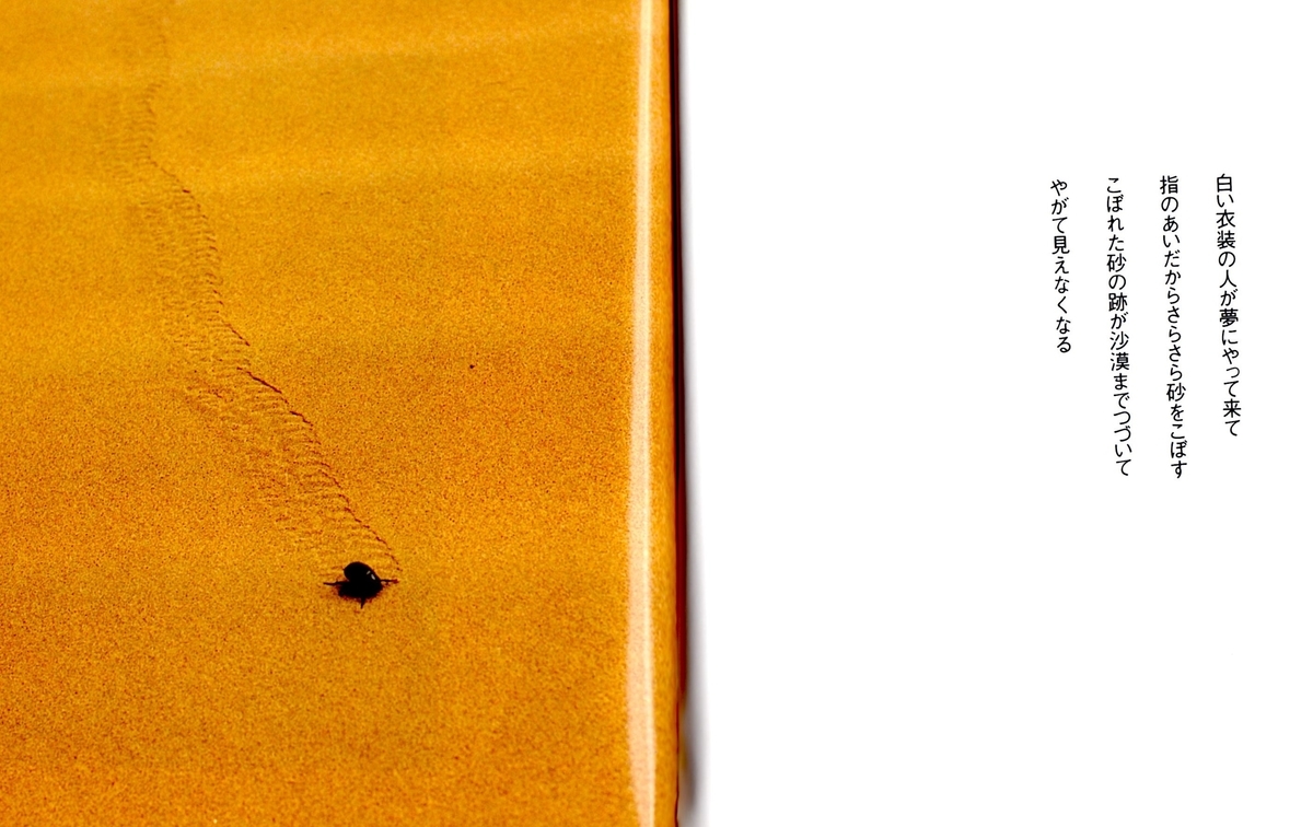 f:id:hamasansu:20211108204146j:plain