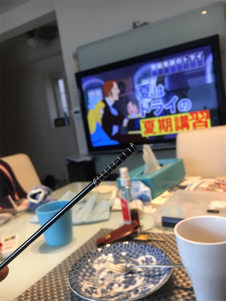 f:id:hamasashikun:20170718203849j:image