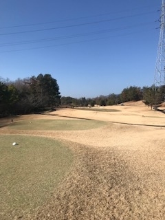 f:id:hamashuu:20190208124306j:plain