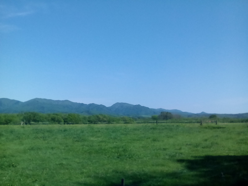 f:id:hamatonbetsu:20160614174818j:plain
