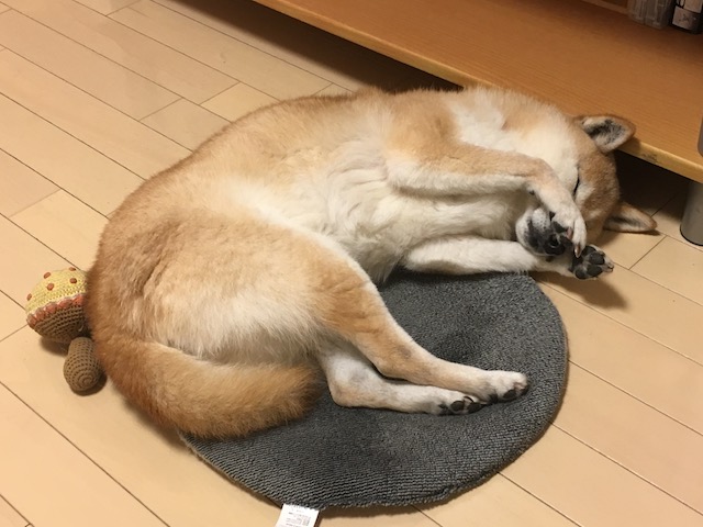 f:id:hamayatwo:20170109202058j:plain f:id:hamayatwo:20170109202058j:plain