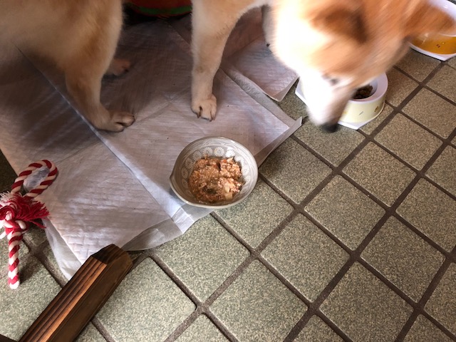 f:id:hamayatwo:20180331103943j:plain f:id:hamayatwo:20180331103943j:plain