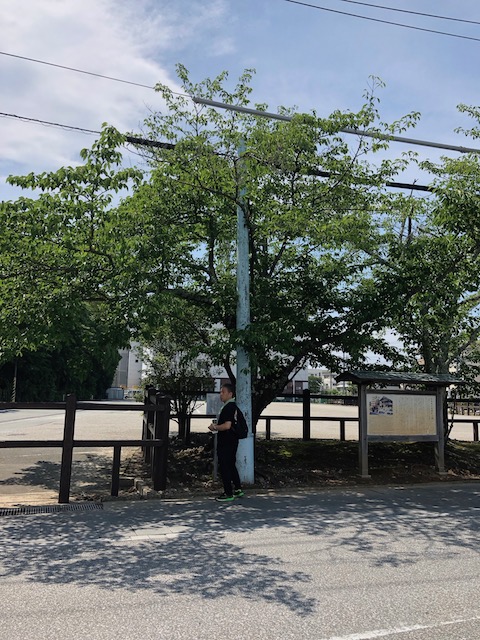 f:id:hamayatwo:20180707202333j:plain