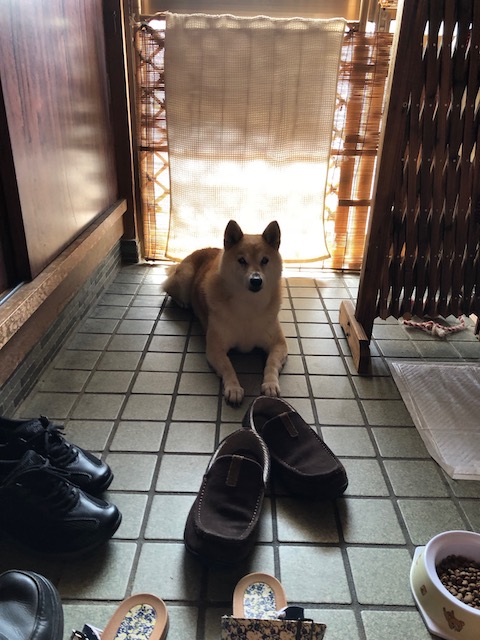 f:id:hamayatwo:20180907211126j:plain