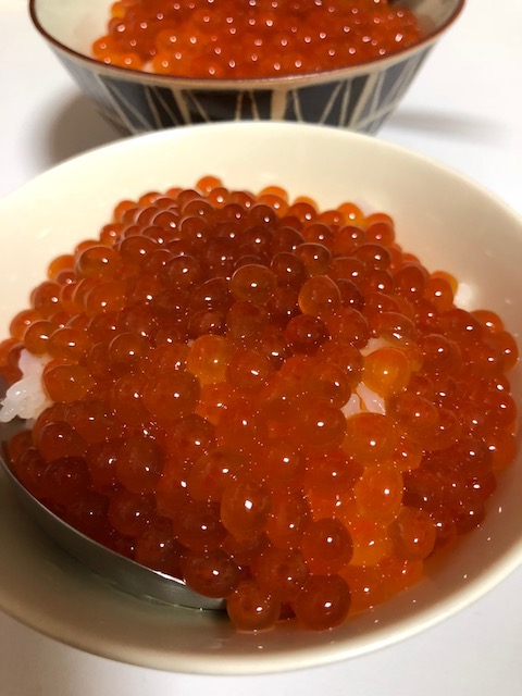 f:id:hamayatwo:20180929173839j:plain f:id:hamayatwo:20180929173839j:plain