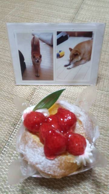 f:id:hamayatwo:20190806225542j:plain