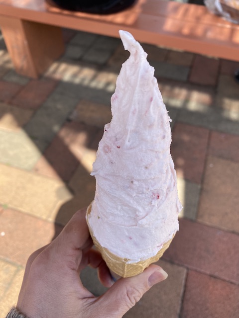 f:id:hamayatwo:20210323102741j:plain