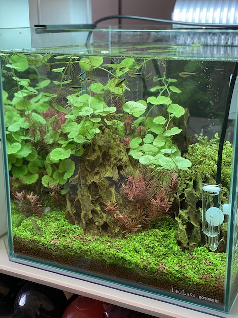 f:id:hamayatwo:20210505221826j:plain