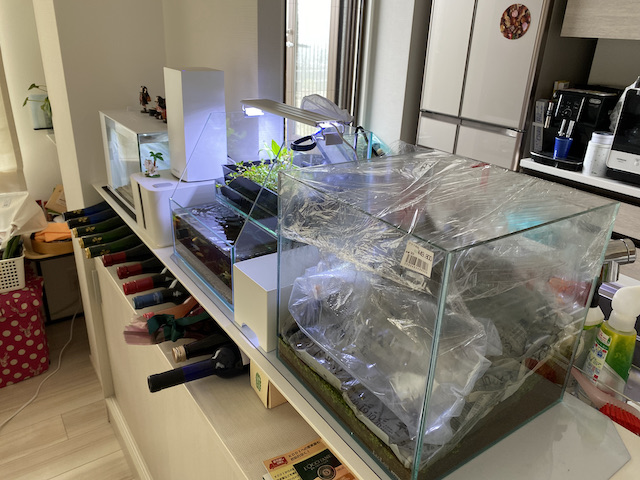 f:id:hamayatwo:20210505222308j:plain