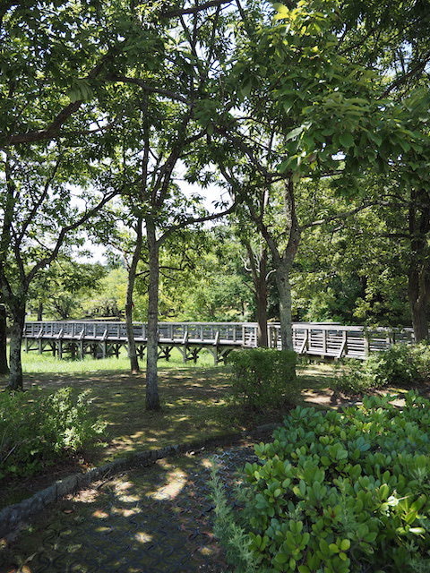 f:id:hamayatwo:20210802115042j:plain