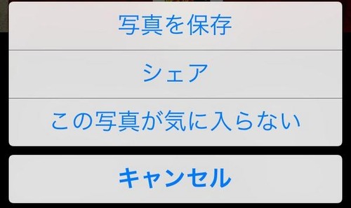f:id:hamayucco:20161228201134j:plain