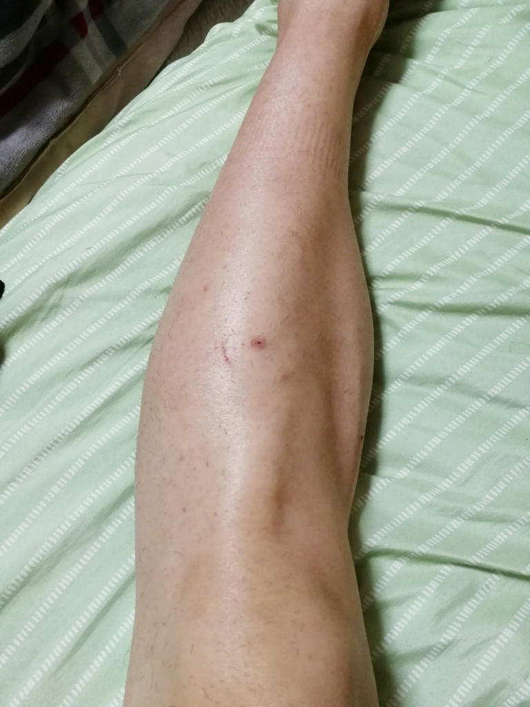 f:id:hamchang:20180507093648j:plain f:id:hamchang:20180507093648j:plain