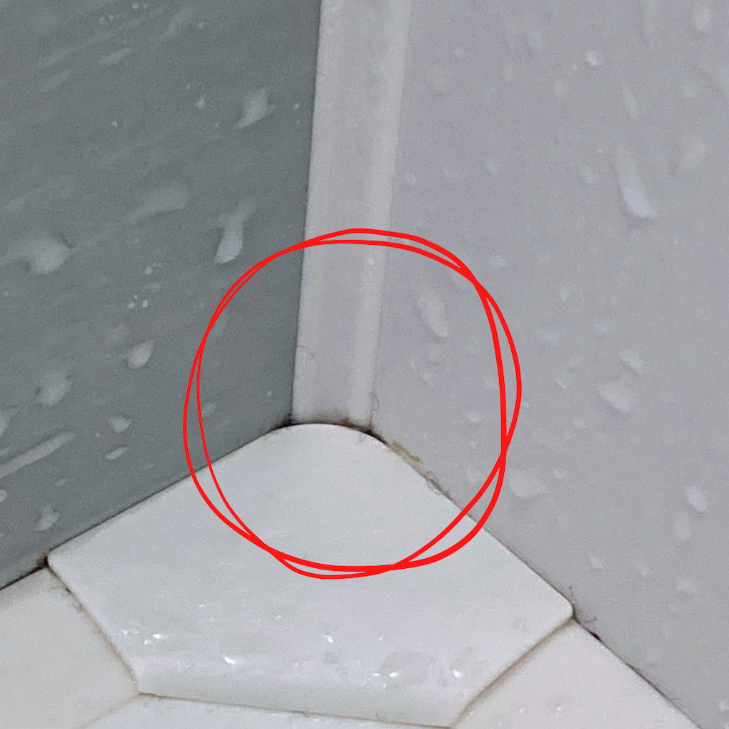 f:id:hamchika:20221217155513p:image f:id:hamchika:20221217155513p:image