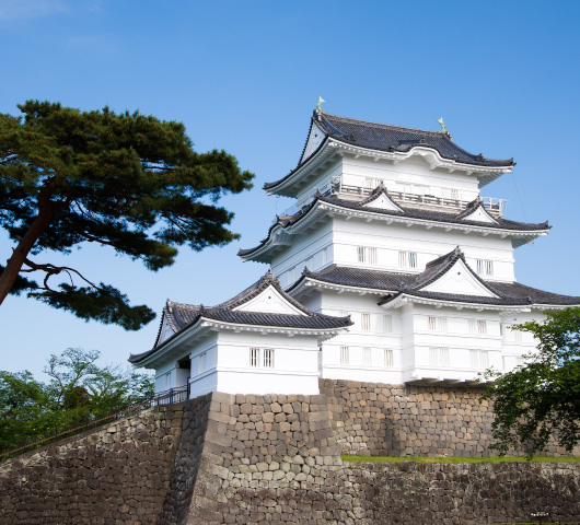 小田原城