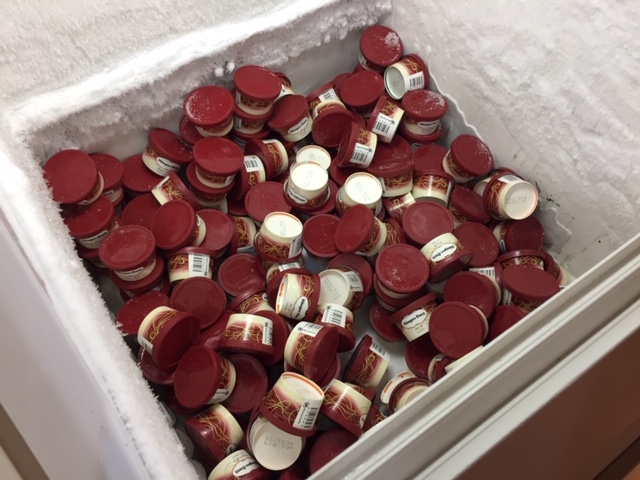 f:id:hamey88:20190206103622j:plain