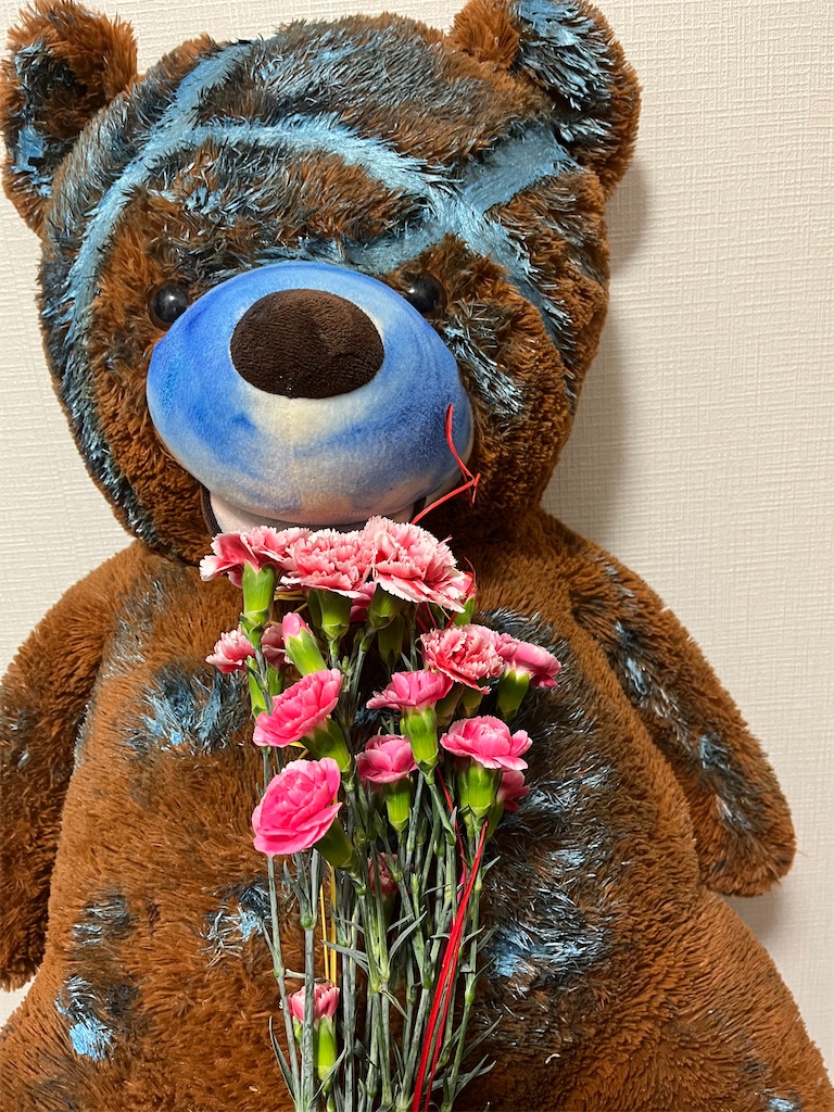 f:id:hamiru0818:20230603220447j:image