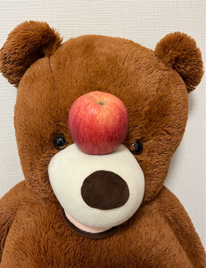 f:id:hamiru0818:20240217190423j:image