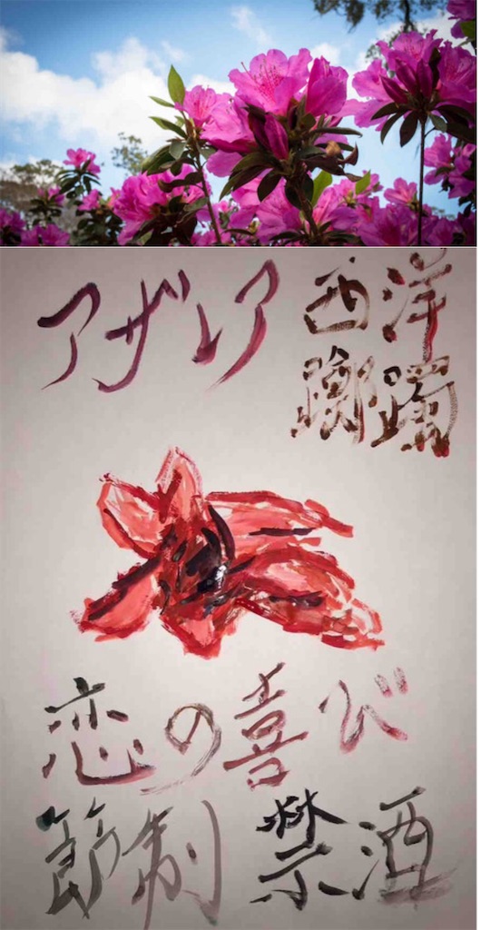 f:id:hamiru0818:20240311200253j:image