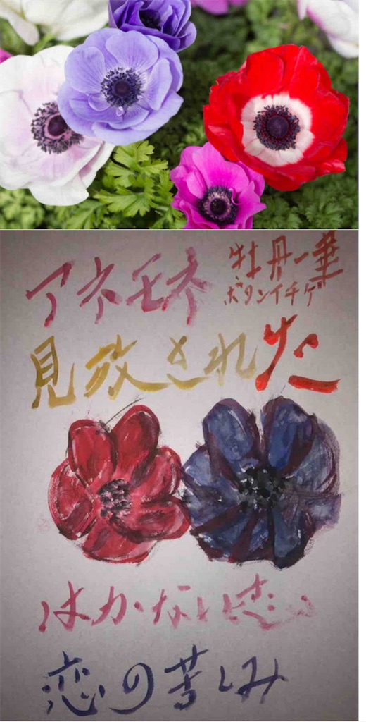 f:id:hamiru0818:20240318215153j:image