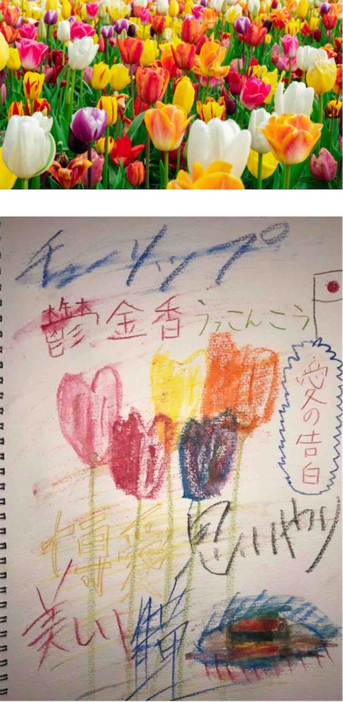 f:id:hamiru0818:20240517002203j:image f:id:hamiru0818:20240517002203j:image