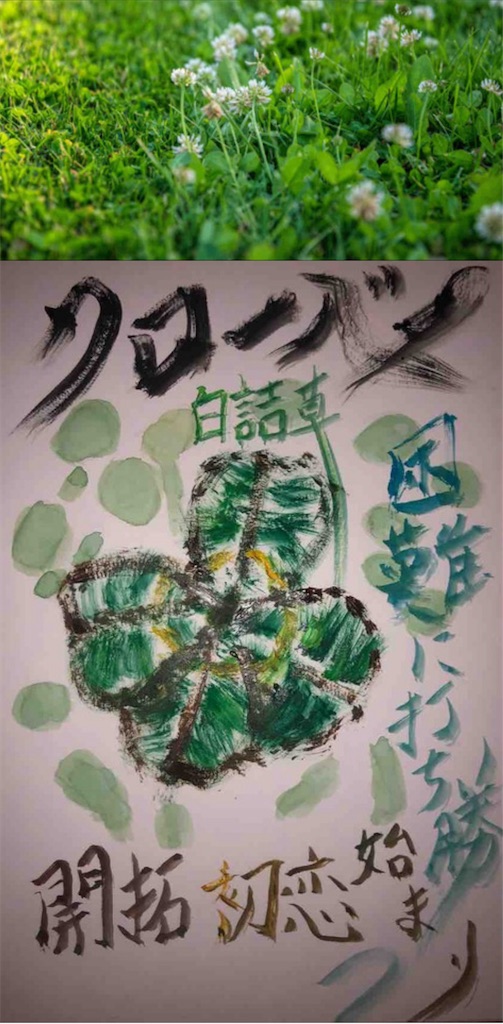 f:id:hamiru0818:20240616215500j:image