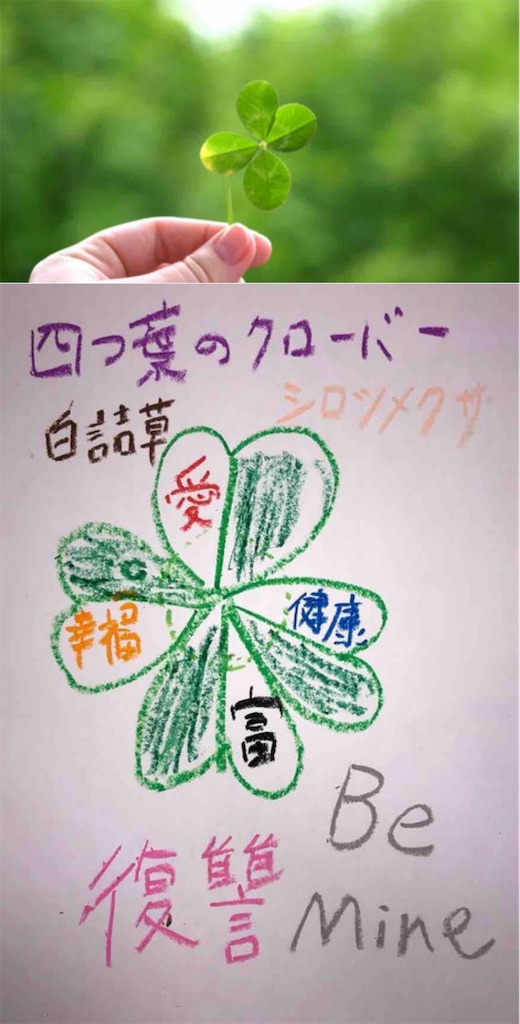 f:id:hamiru0818:20240619190410j:image