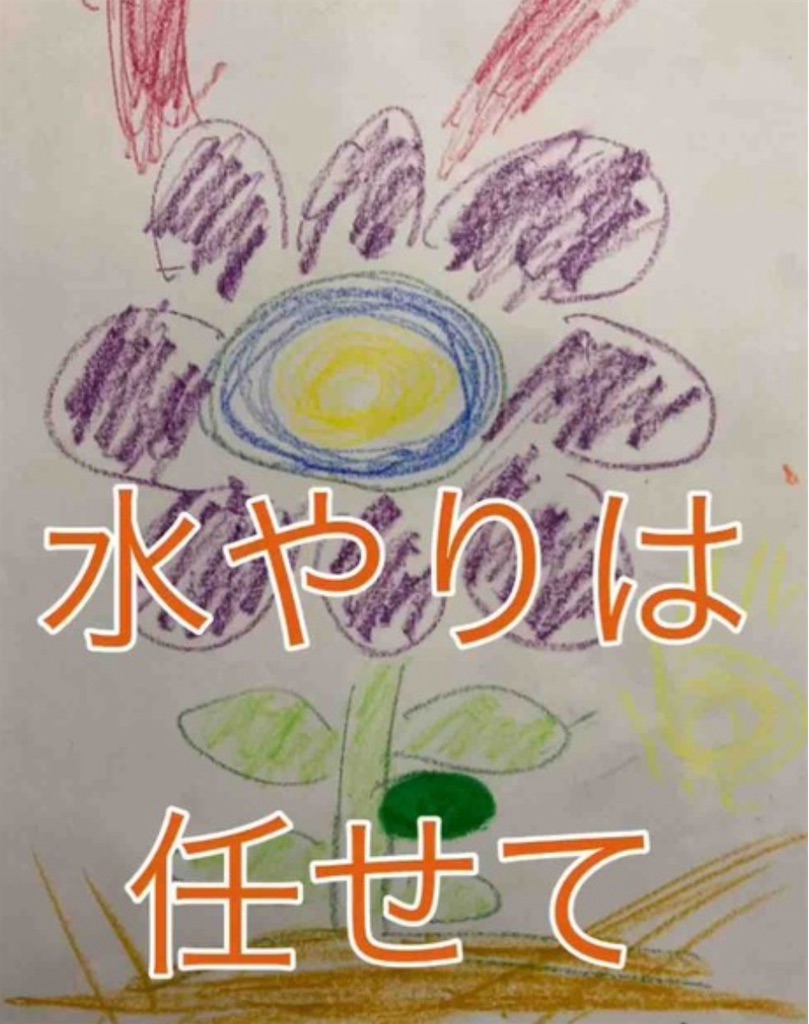 f:id:hamiru0818:20240723222953j:image f:id:hamiru0818:20240723222953j:image