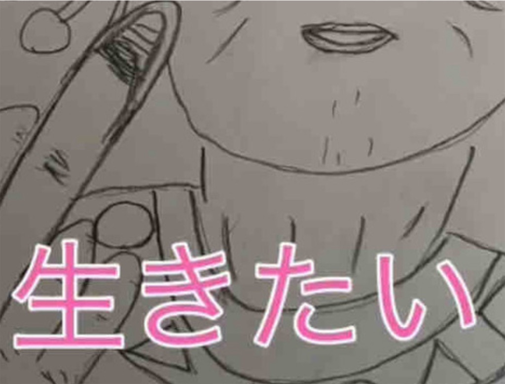 f:id:hamiru0818:20240723223122j:image f:id:hamiru0818:20240723223122j:image