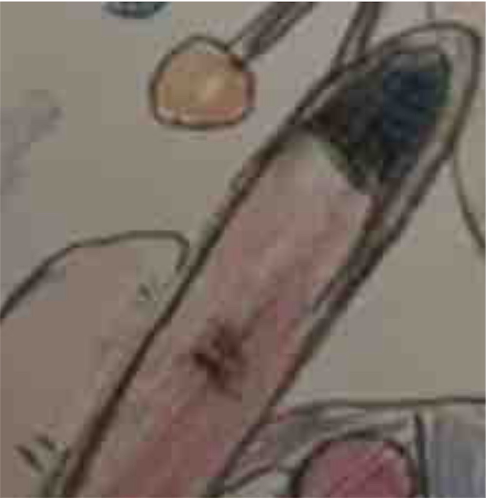 f:id:hamiru0818:20240723223146j:image f:id:hamiru0818:20240723223146j:image