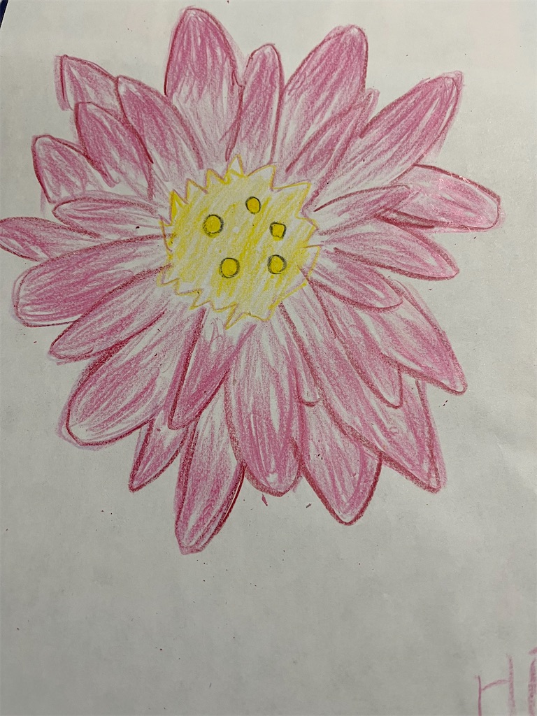 f:id:hamiru0818:20240818204131j:image