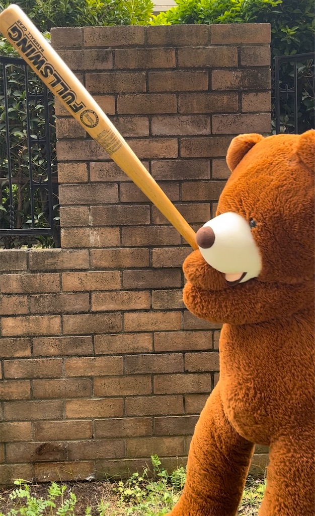 f:id:hamiru0818:20240914011550j:image