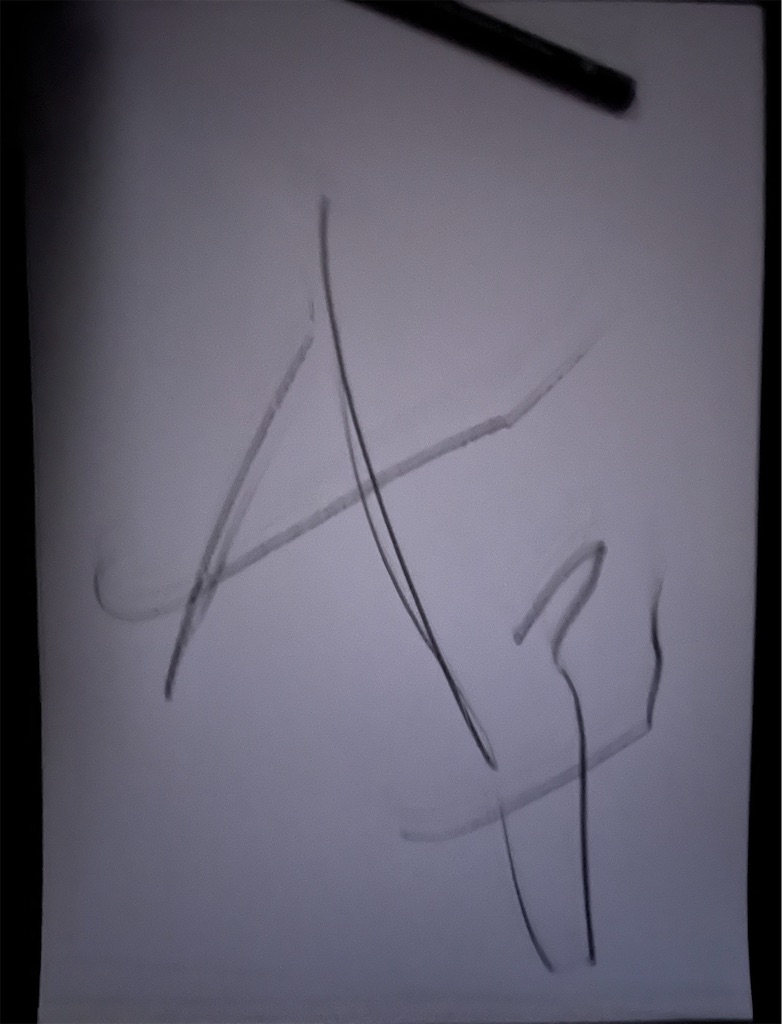 f:id:hamiru0818:20241107070054j:image f:id:hamiru0818:20241107070054j:image