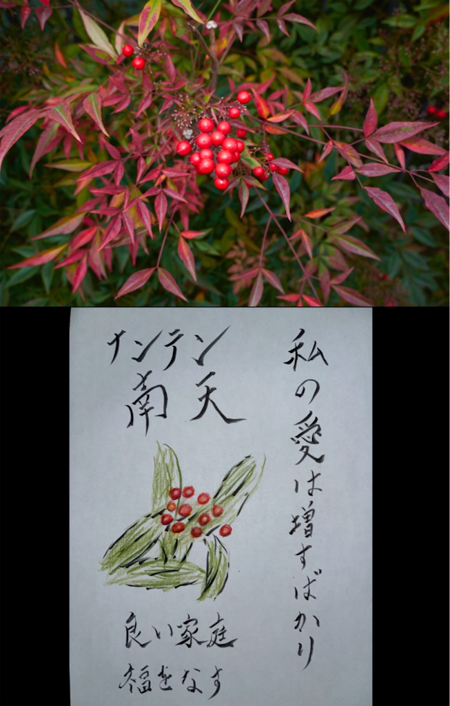 f:id:hamiru0818:20241213224648j:image