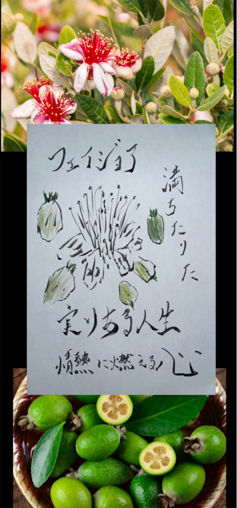 f:id:hamiru0818:20241213224732j:image