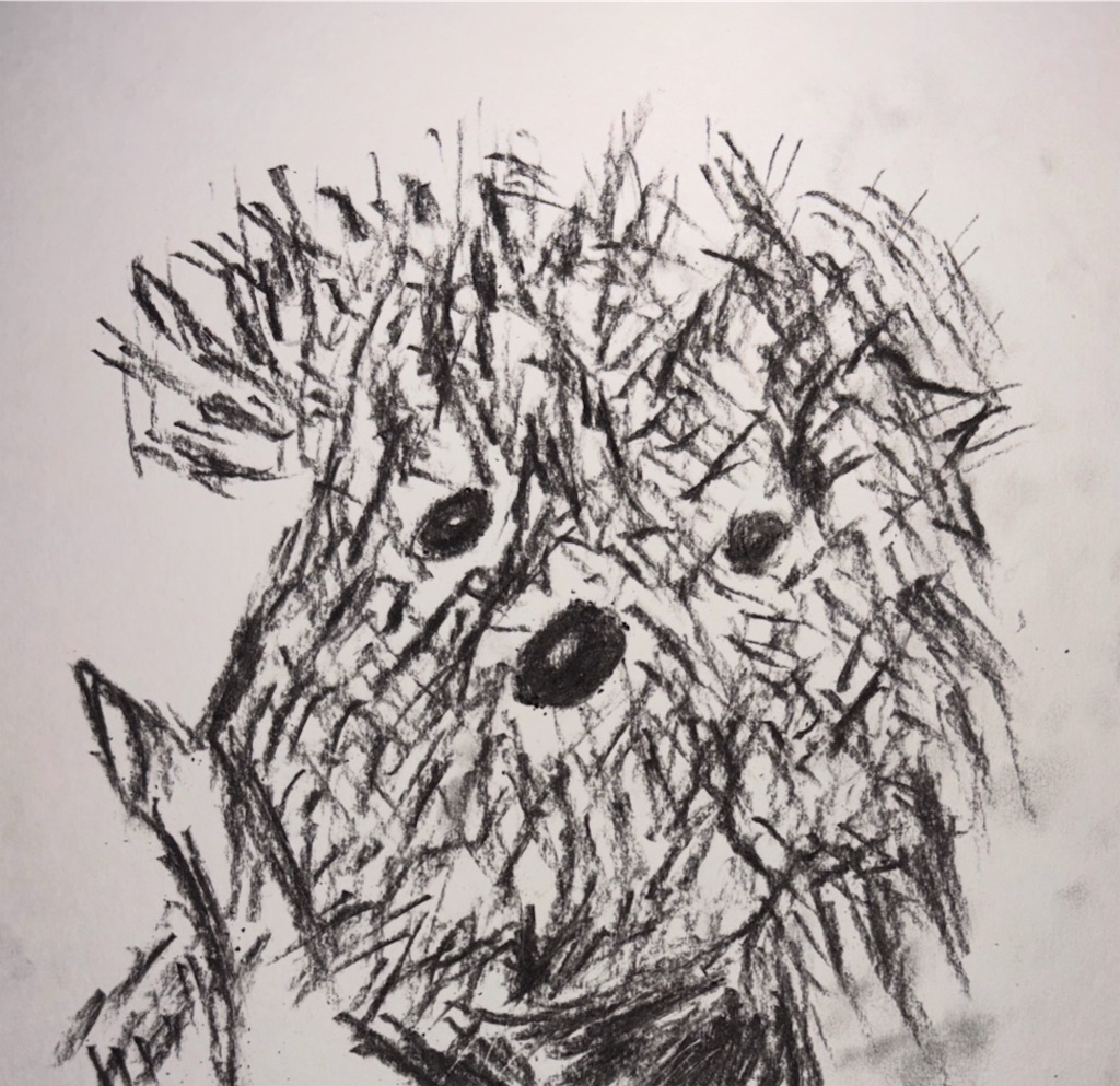 f:id:hamiru0818:20250101123320j:image