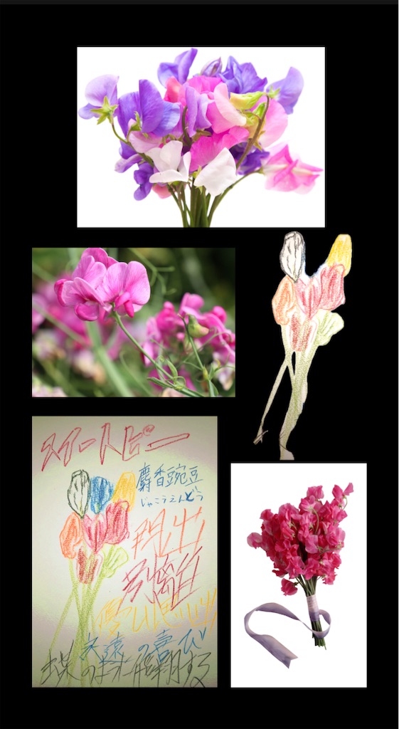 f:id:hamiru0818:20250104102321j:image