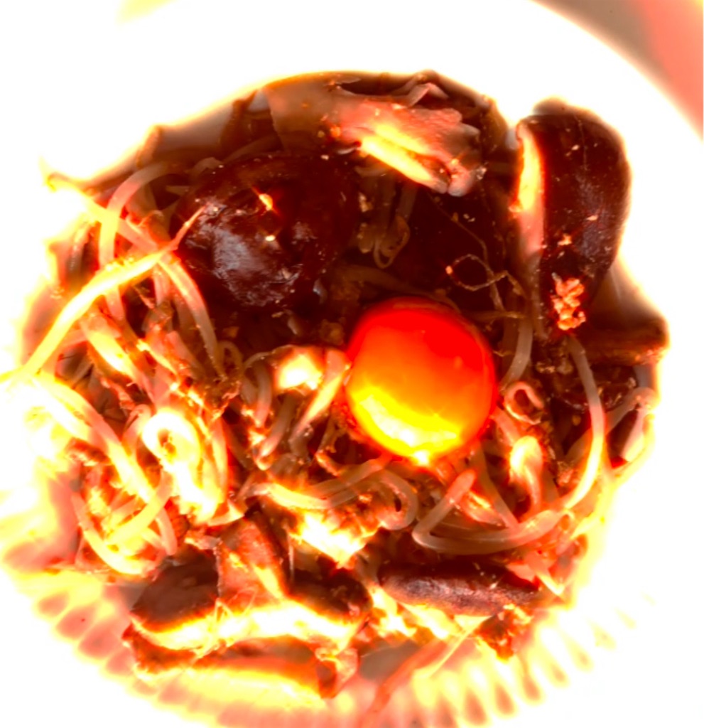 f:id:hamiru0818:20250124220559j:image f:id:hamiru0818:20250124220559j:image