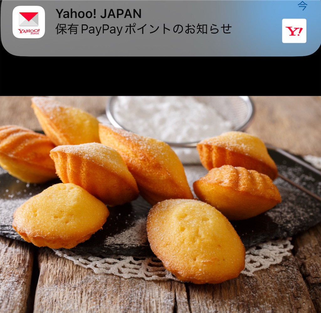 f:id:hamiru0818:20250217030631j:image