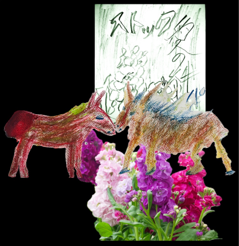 f:id:hamiru0818:20250219003225j:image