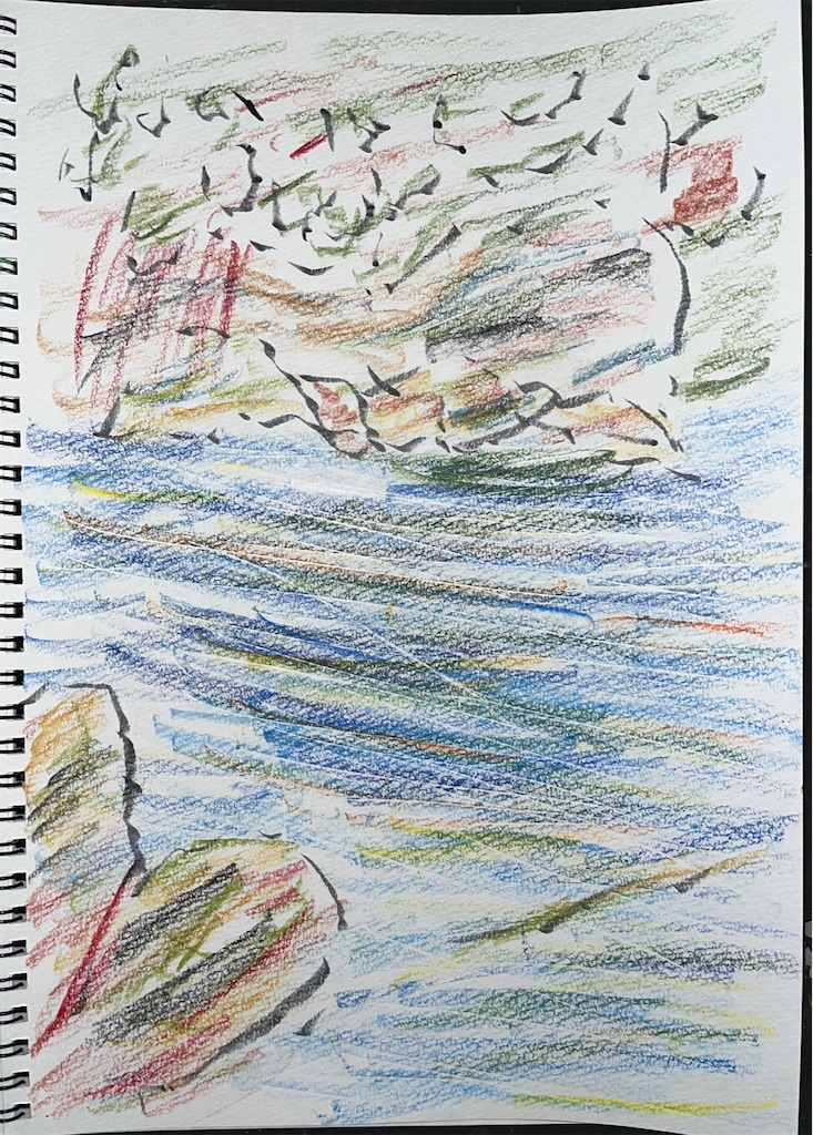 f:id:hamiru0818:20250219003408j:image