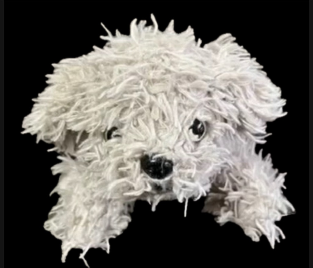 f:id:hamiru0818:20250219003513j:image