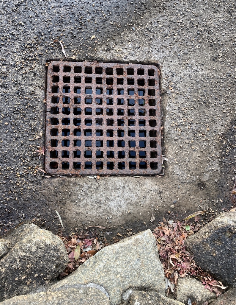 f:id:hamiru0818:20250219003634j:image