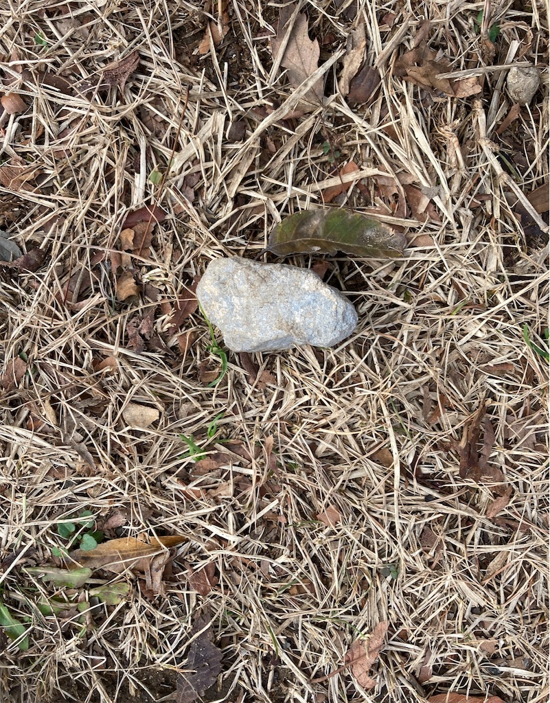 f:id:hamiru0818:20250219003646j:image